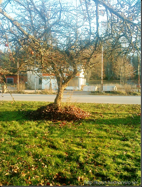 DSC03289