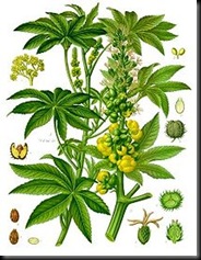 ricin