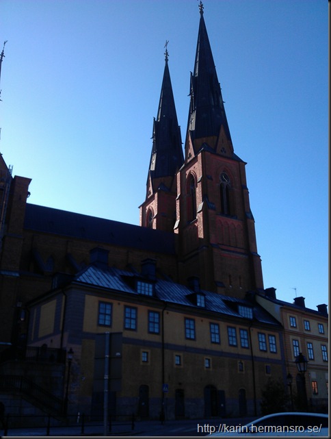 IMAG0682
