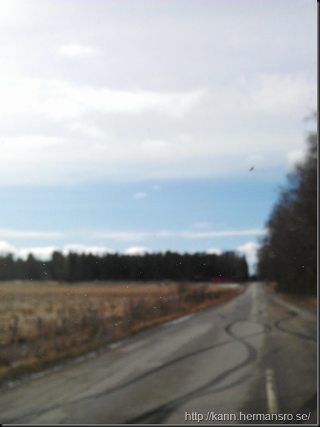 IMAG0742