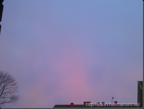 IMAG0750