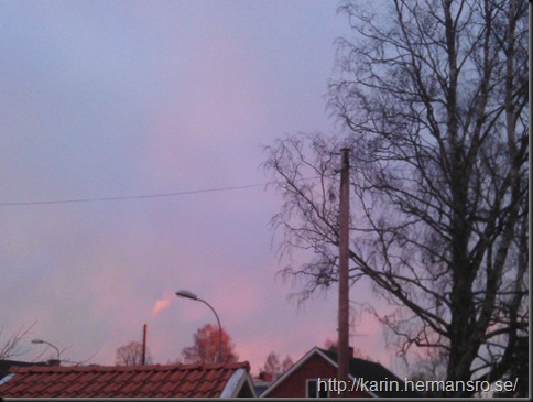 IMAG0751
