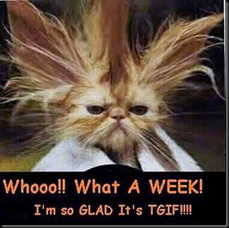 tgif