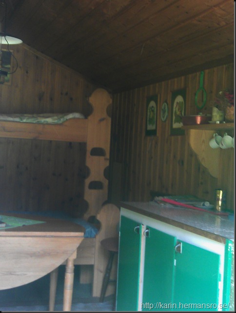 IMAG1301